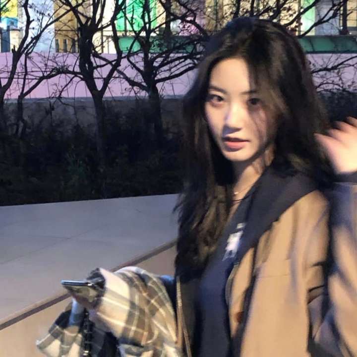 蒂科与鲨鱼